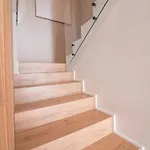 فيلة Md Barraques De Lluna