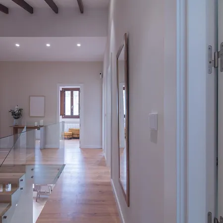 فيلة Md Barraques De Lluna *